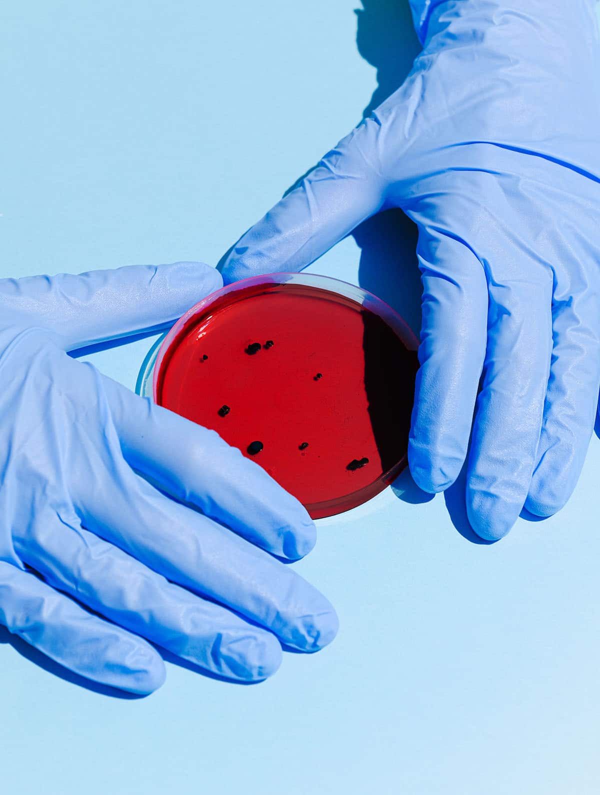 New molecules uncovered in small training lab